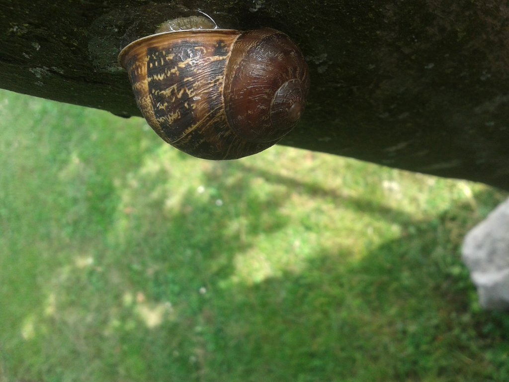 Foto 338